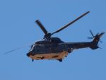 20100807184328_ftpj_37.jpg